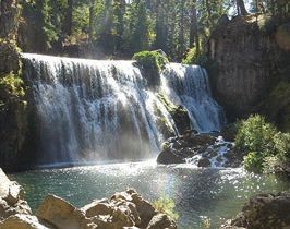 マクラウドフォールズ