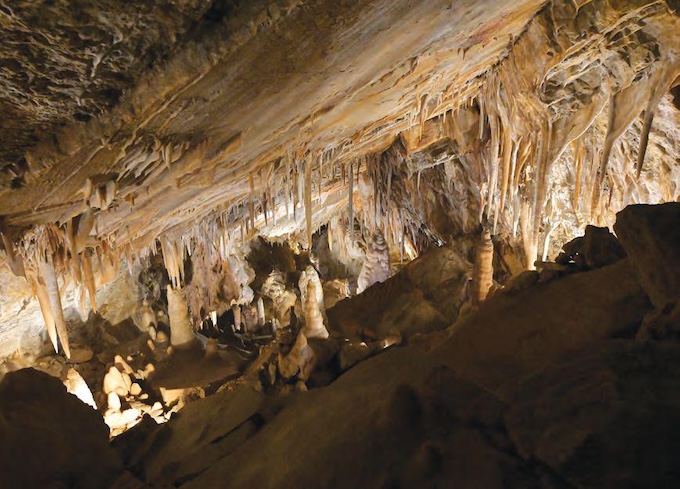 Glenwood Caverns Adventure Park
